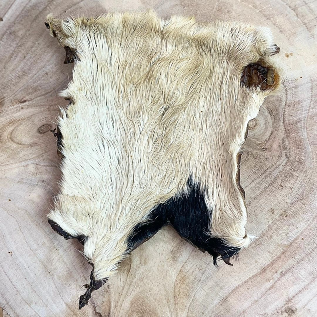 HAIRY BULKY SKIN XL