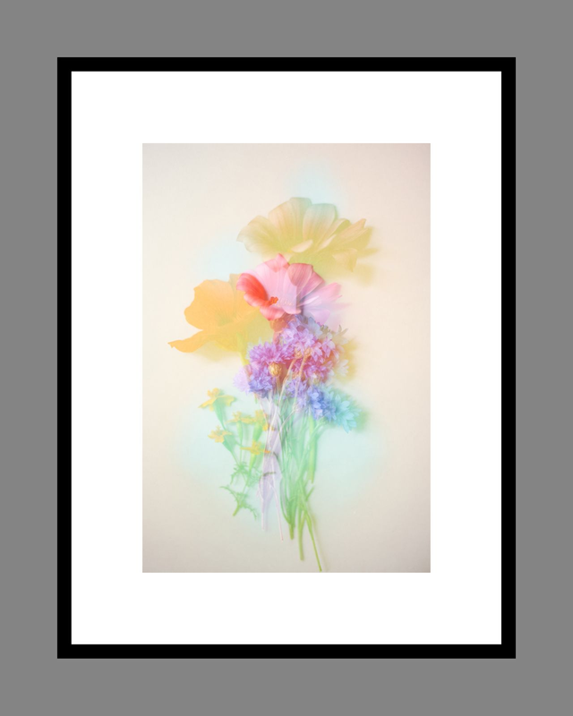 Collection du printemps * 7