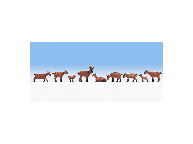 Chèvres Noch 15752 H0