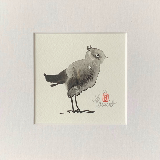 Oiseau mignon 20x20cm