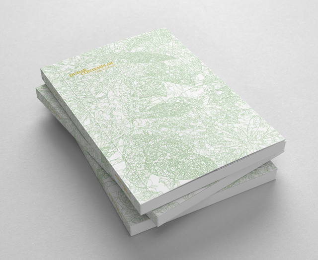 Dudar / Contemplar - Juan Cárdenas