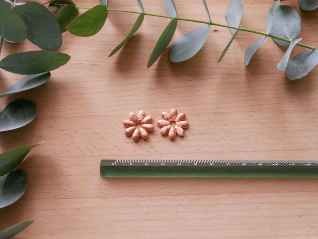 Marguerite pêche/chrome