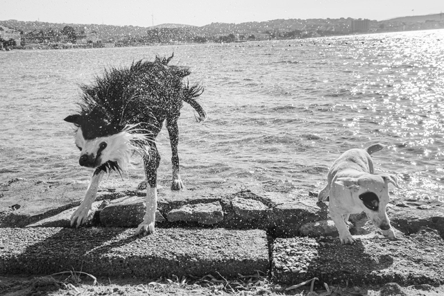 A Short Story of The Cosmos