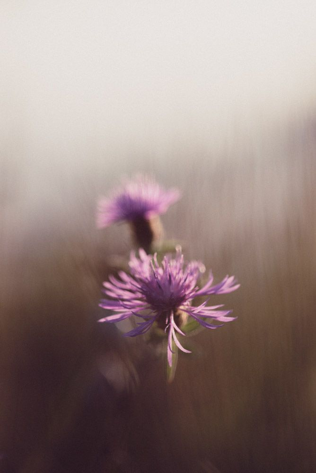 Vue sur l’océan 1