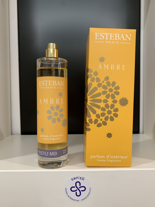 ESTEB PARFUM D'INTERIEUR AMBRE 100ML