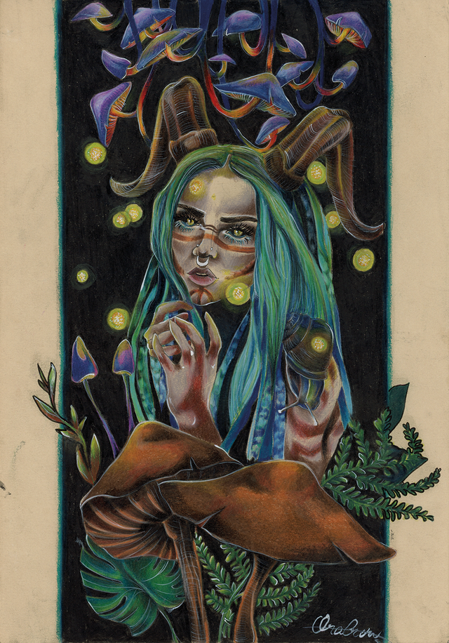 Faune et champignons