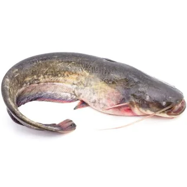 Frozen Whole Catfish 1kg