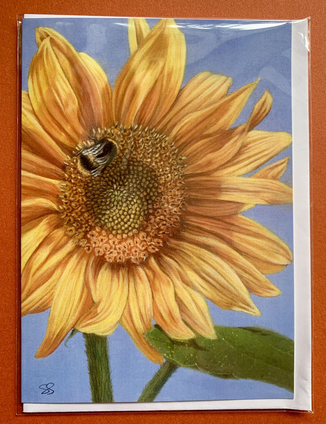Greetings Card - Bee on Sunflower - Blank Inside