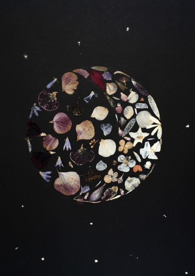 Lune premier croissant