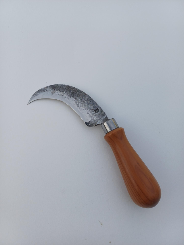 Petite serpette manche tourné