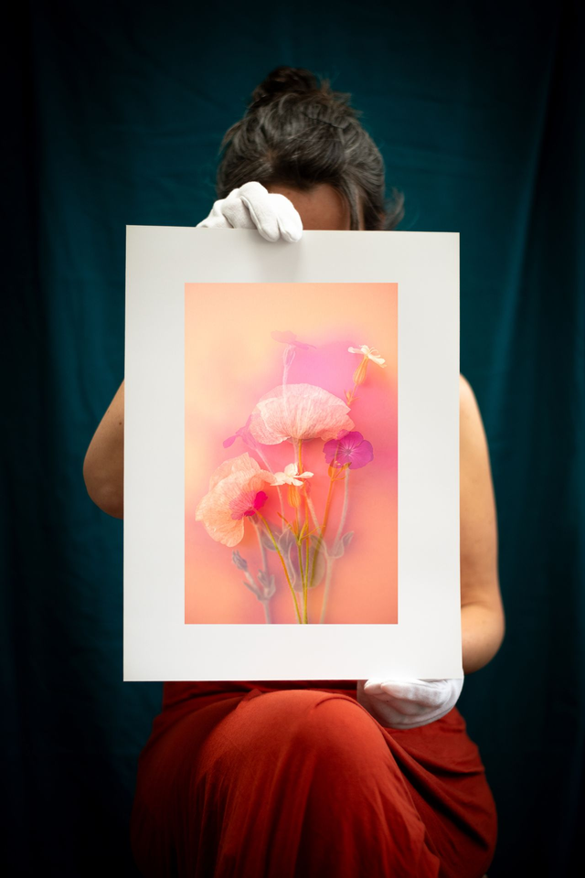 Collection du printemps * 4