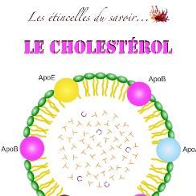Étincelles : Cholestérol