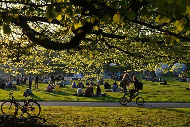Sommer auf der Aaseewiese
