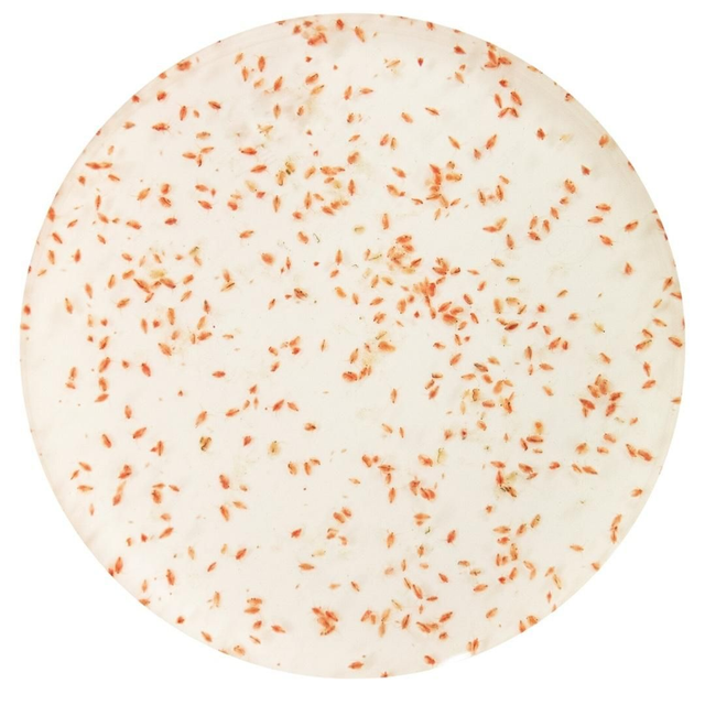 Levende water-vlooien 4038358100185