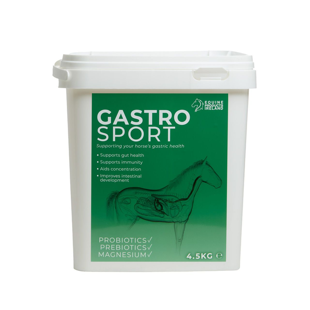 Gastro Sport - MASSIVE 10KG 