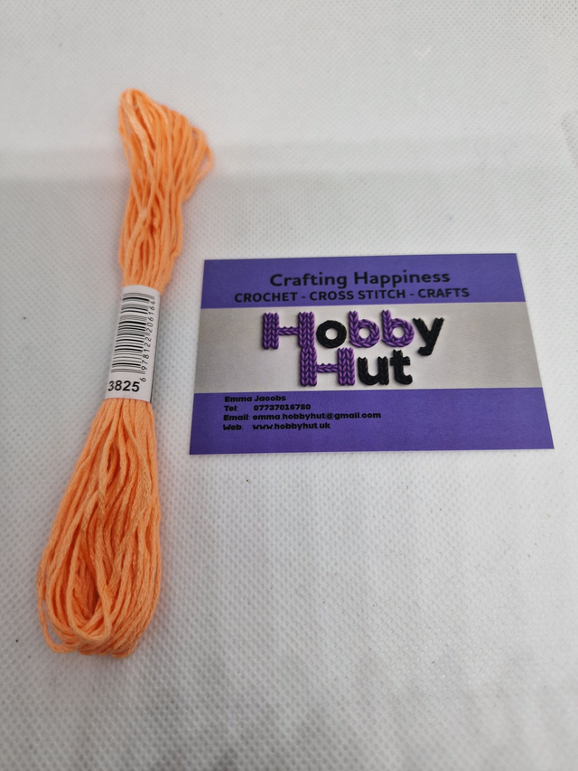 Embroidery Thread - 3825