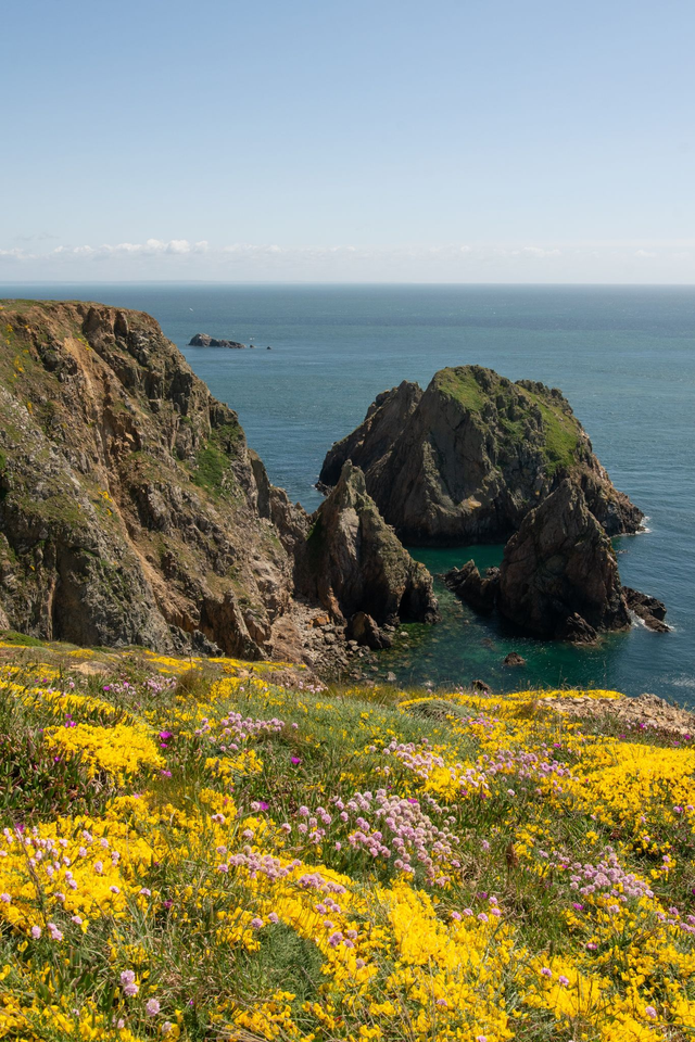 Falaises fleuries d&#039;Aurigny
