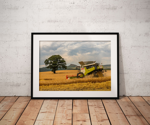 Gathering, Roseberry Topping