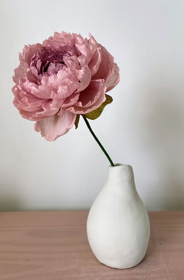 Pivoine "Almaé" avec son vase artisanal offert