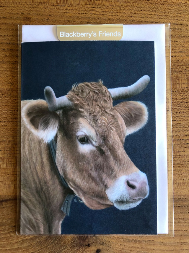 Greeting Card 'ZUS' (Leemweg)