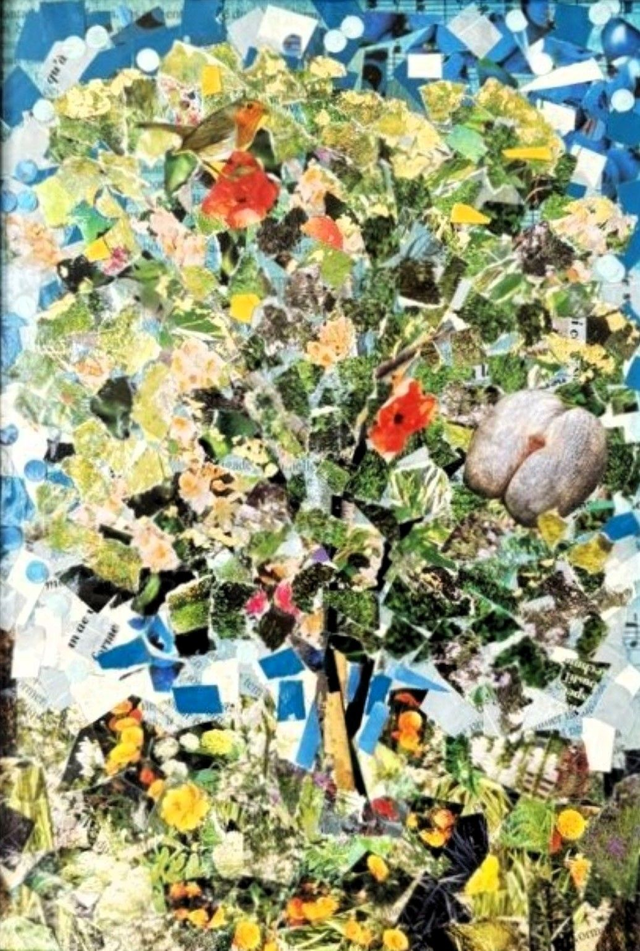 Le coco-fesses et l'oiseau