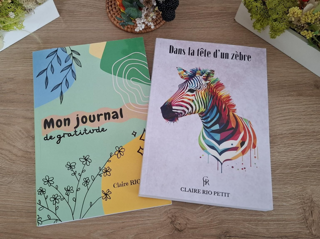 Dans la tête d&#039;un zèbre + mon carnet de gratitude