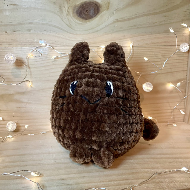 Le chat assis marron