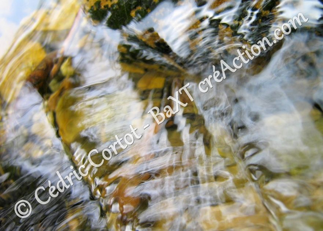 Carte postale - Reflets et cours d'Eau (Ref IMG_4219)