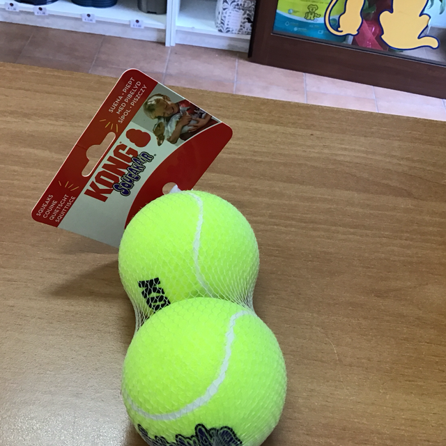 KONG LARGE SQUEAKER TENNIS BALLS 2pm