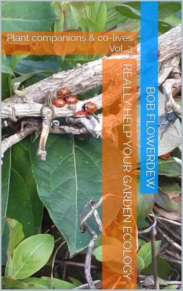 04 Really help your garden ecology