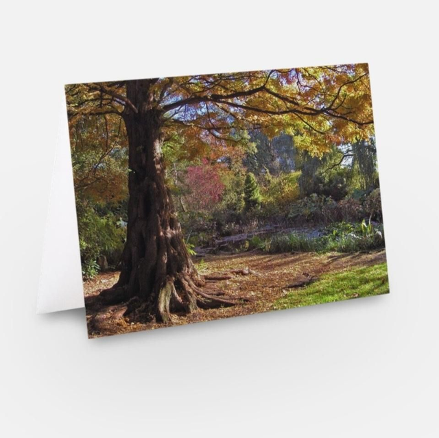 Newstead Abbey Nottinghamshire Autumn greeting card
