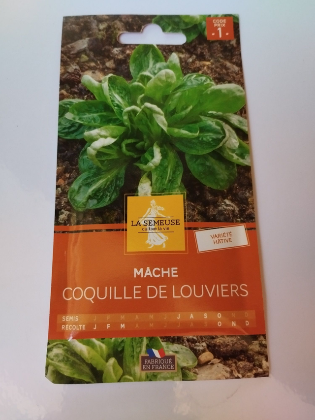 Mâche Coquille de Louviers