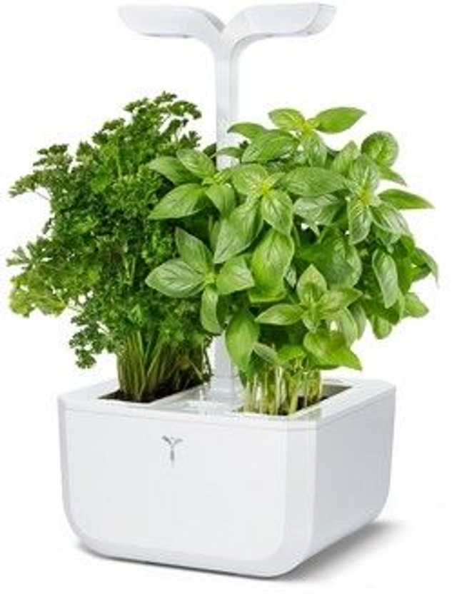 Véritable Exky CLASSIC - white