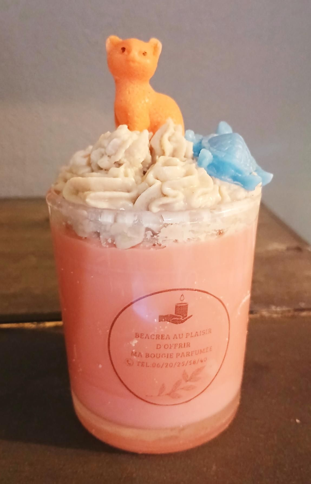 Je vous présente ma bougie gourmand parfumé avec son chat et tortue 12€