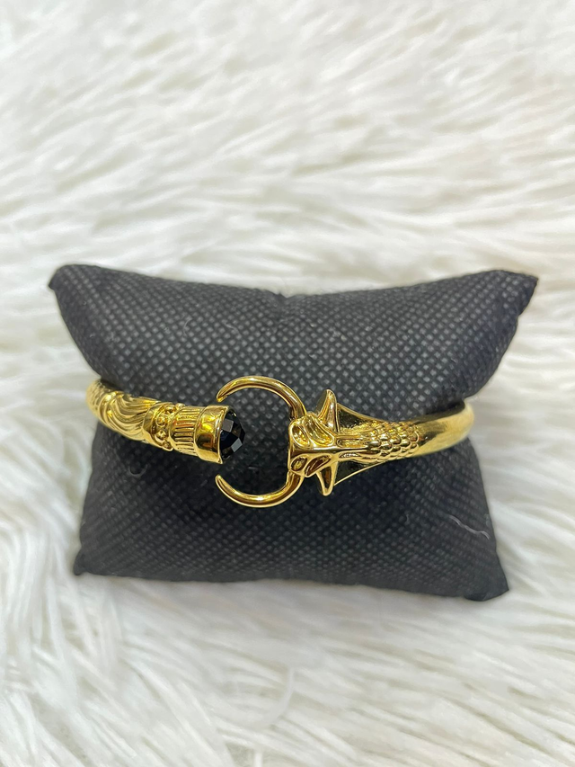 Vangovango mandresy barea noir