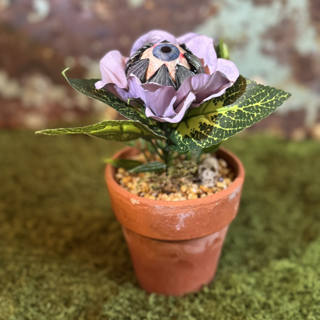 9.🌱 Specimen Name: The Watcher’s Bloom