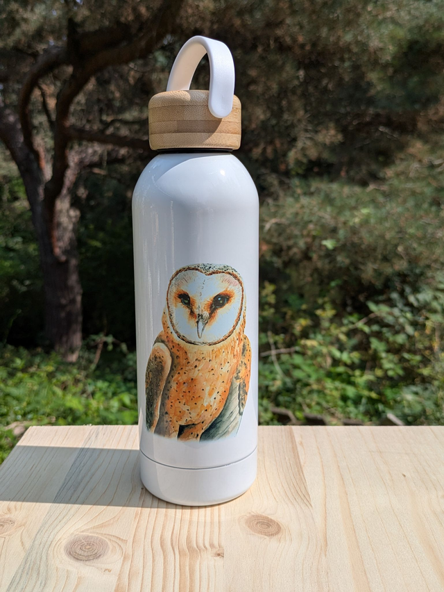 Gourde Chouette effraie