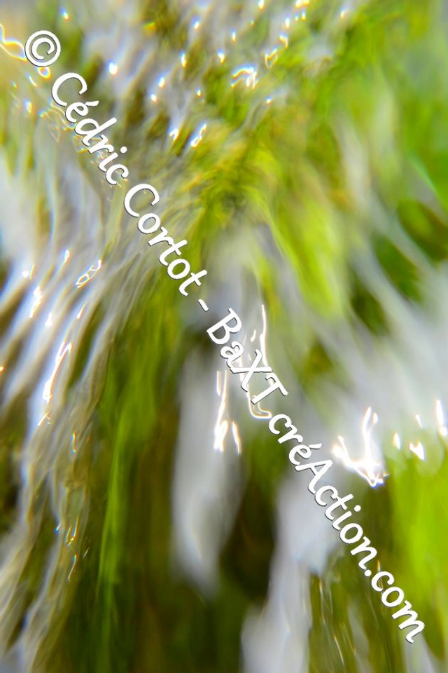 Impression sur alu dibond - Reflets et cours d'Eau (ref 8444 )