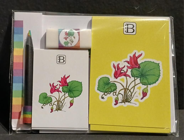 Leggi &amp; Colora - Kit Scrittura - I Fiori di Catia n. 1 - Ciclamino