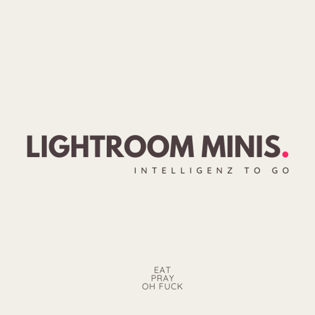 LIGHTROOM MINIS INKL. KI - INTELLIGENZ TO GO 