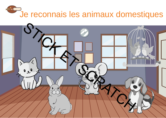 Animaux domestique