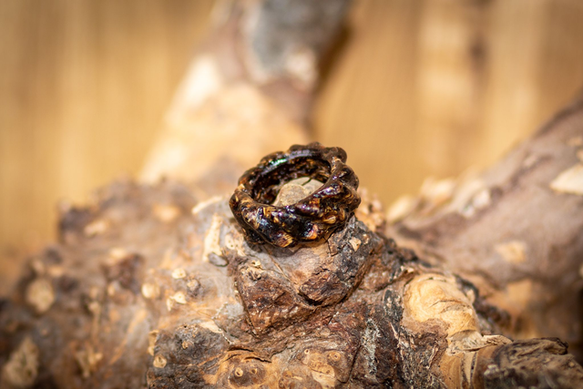 Ring: Wurzelkrone – Handgefertigter Holzring 21mm