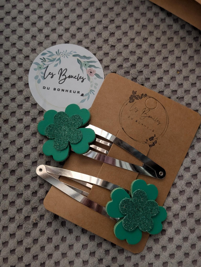 Barrette b028