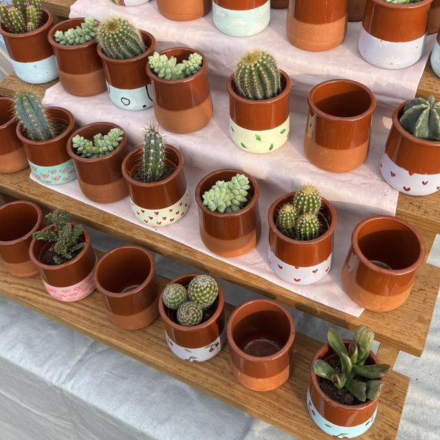 Small Hand-Painted Pot | Choose your Design