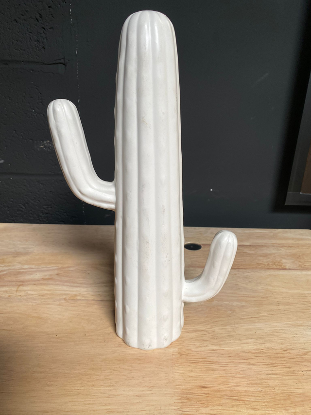 Décoration Cactus (Rose)