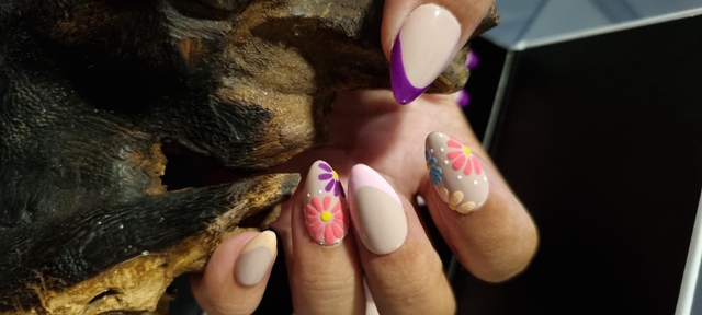 Beauty velours Amande XS