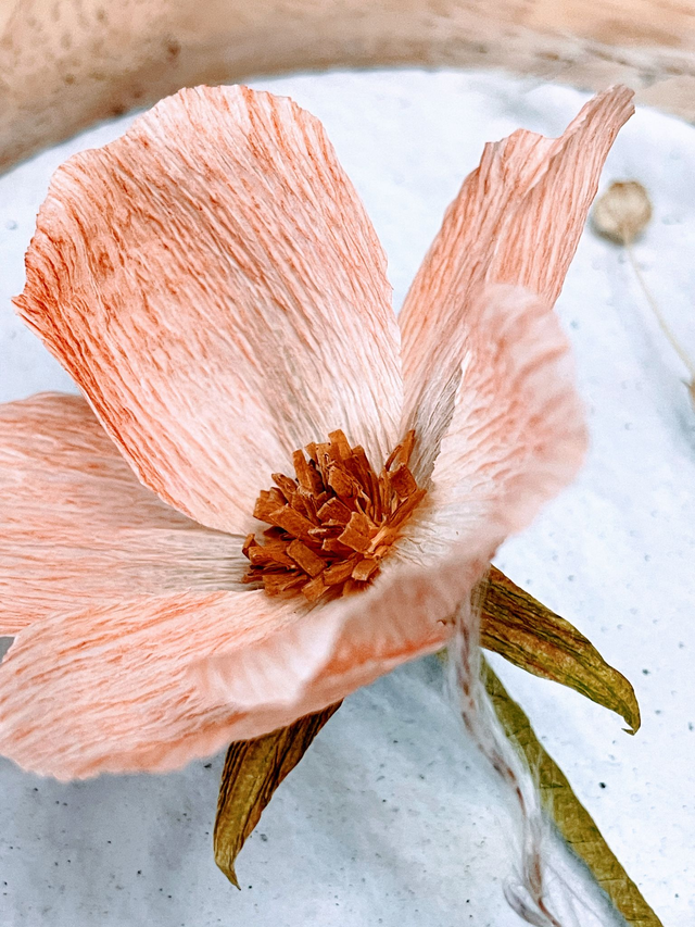 Cadre Poétique épuré "Eléor"