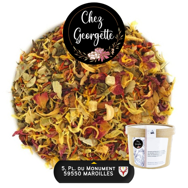 JARDIN DES ÎLES - Pot de 25 infusettes