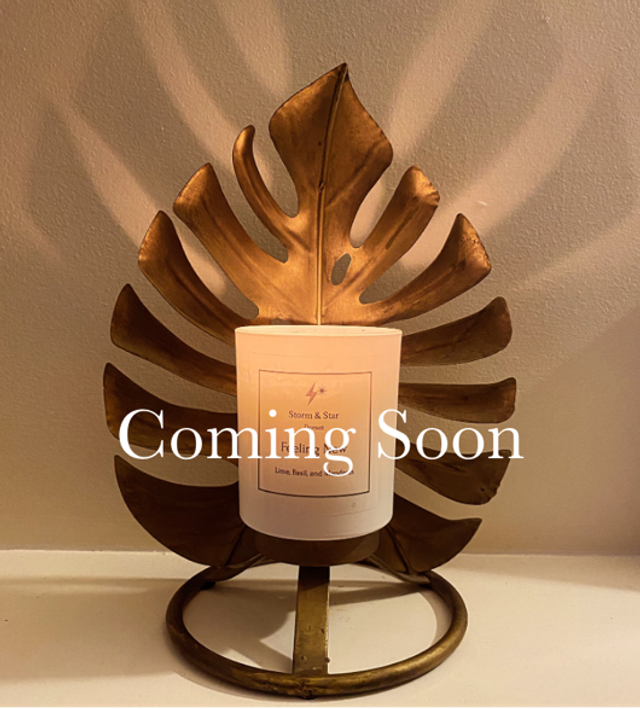 220g Feeling Balanced