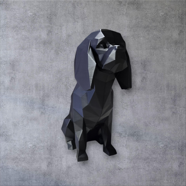 Cavalier king charles